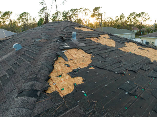 Best Asphalt Shingles Roofing  in Sho Creek, AL