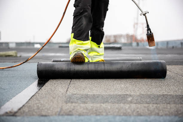 Best Solar Panel Roofing Installation  in Sho Creek, AL